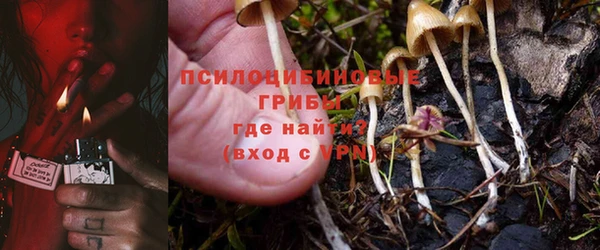 соль курить ск Алзамай