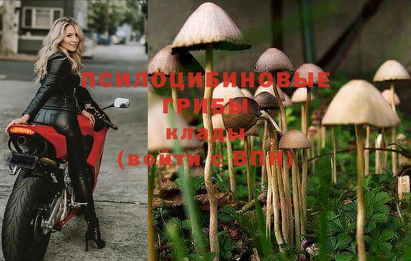 МДПВ Алексин