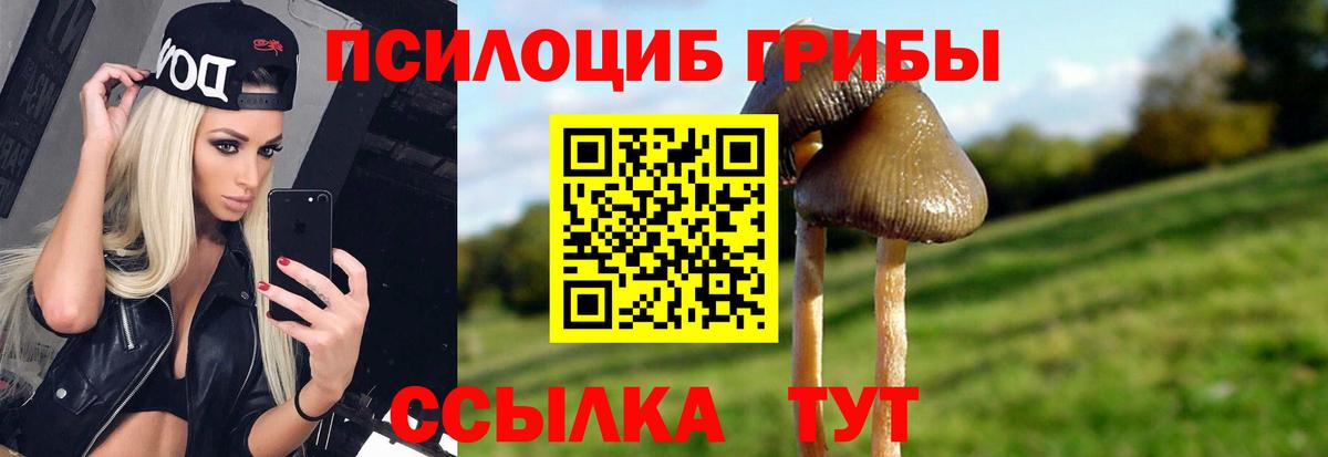Псилоцибиновые грибы Psilocybine cubensis  Вход с VPN  Псилоцибиновые грибы Psilocybine cubensis  Узловая 